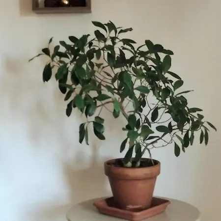 Apartment Alojamiento *
